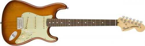 Fender American Performer Stratocaster RW HBST