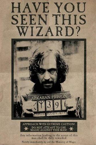 POSTERS Plakát, Obraz - Harry Potter - Sirius Black, (61 x 91.5 cm)