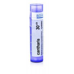 Cantharis CH30 gra.4g