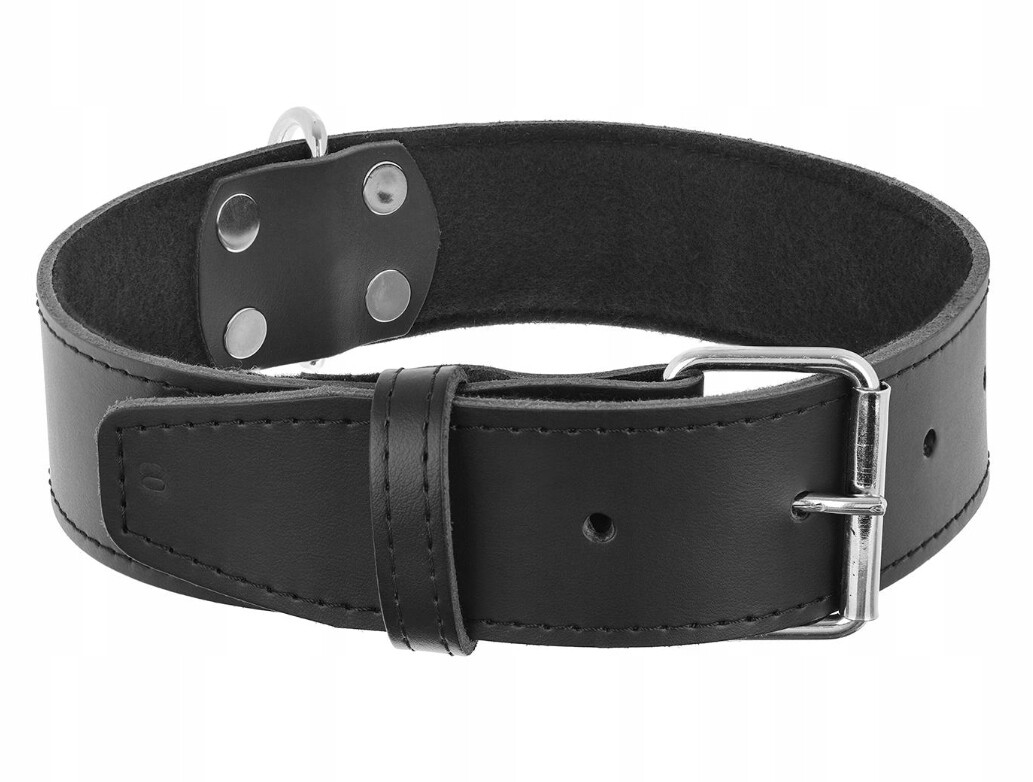 Dino kožený obojek 50mm/50cm černý