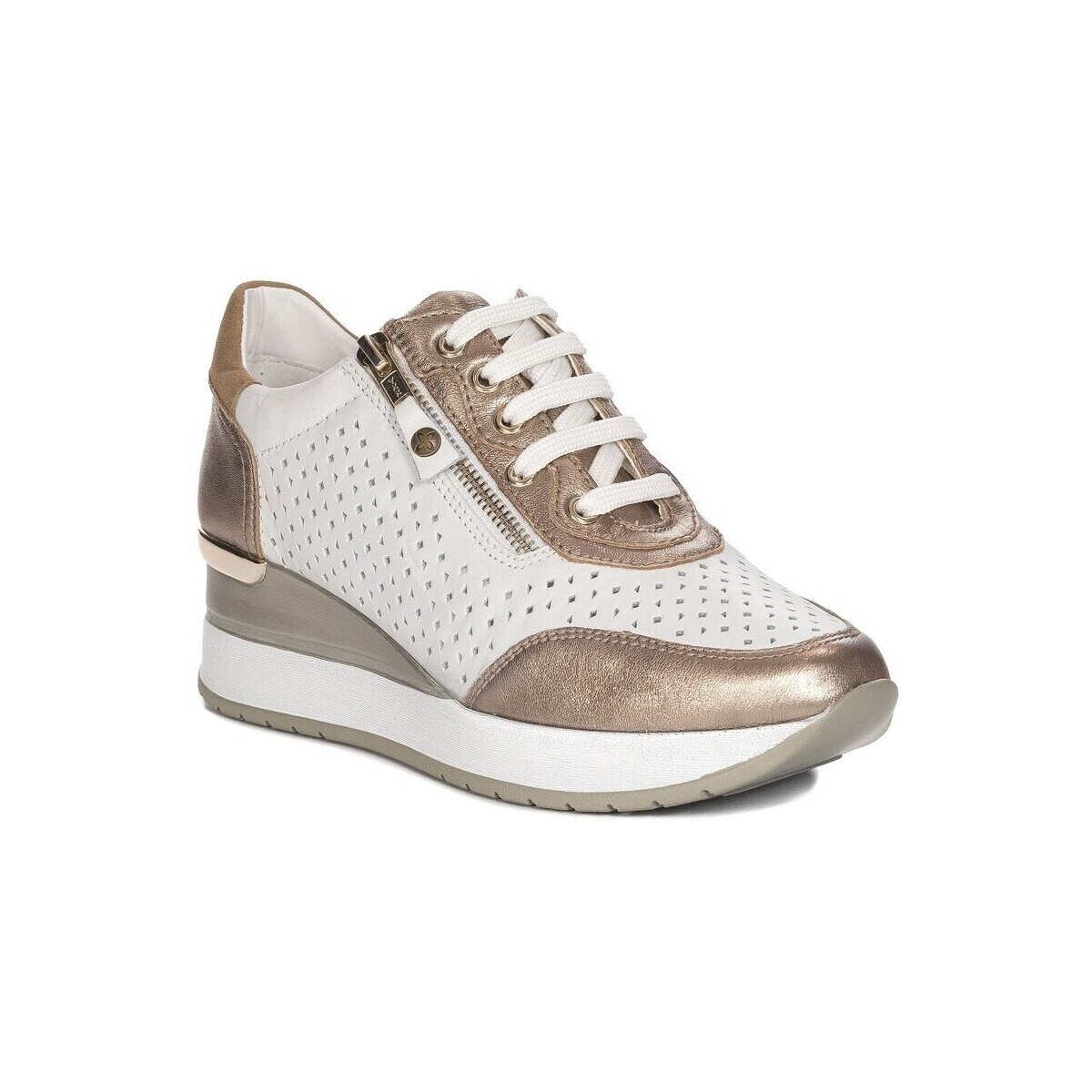 Maciejka  P680425005  ruznobarevne