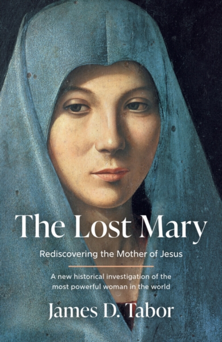 The Lost Mary - Tabor James D.