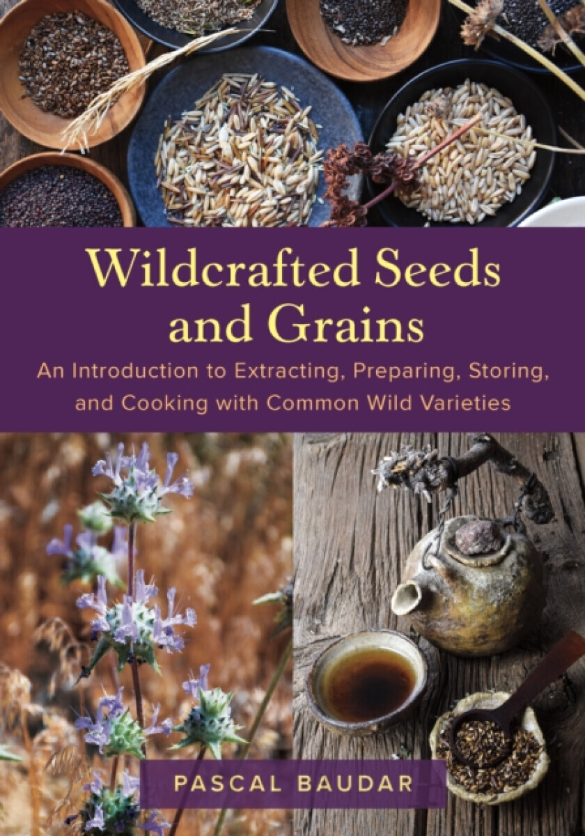 Wildcrafted Seeds and Grains - Baudar Pascal