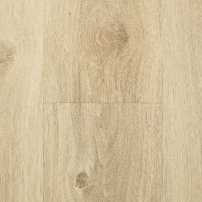 Aspecta Solid PRO 55 Almond