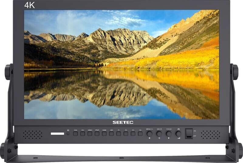 SEETEC monitor P173-9HSD 17.3
