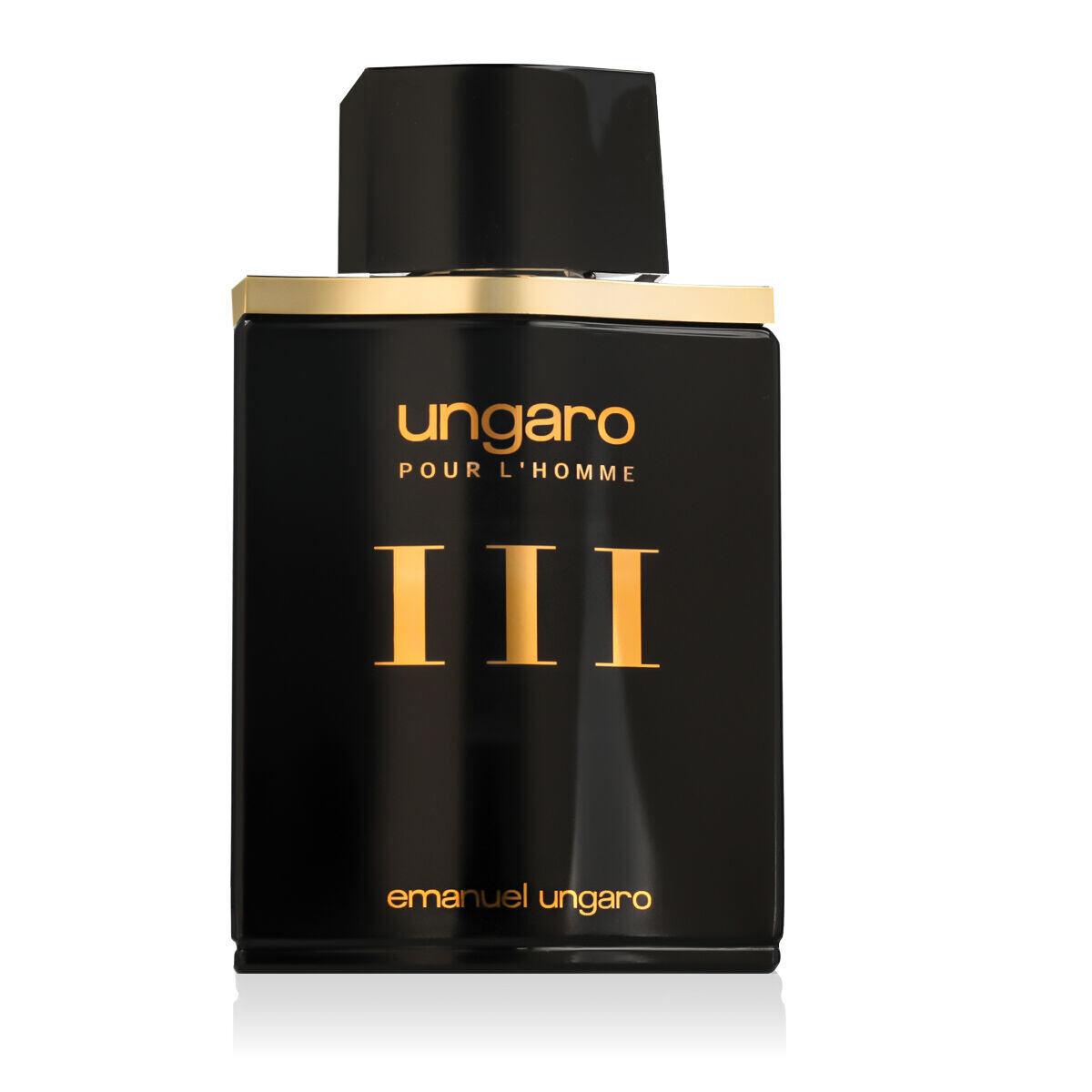 Emanuel Ungaro Pour L'Homme III 100 ml toaletní voda pro muže
