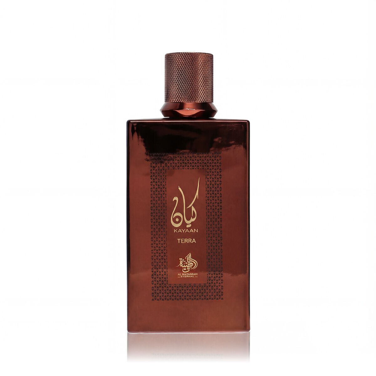 Al Wataniah Kayaan Terra 100 ml parfémovaná voda unisex