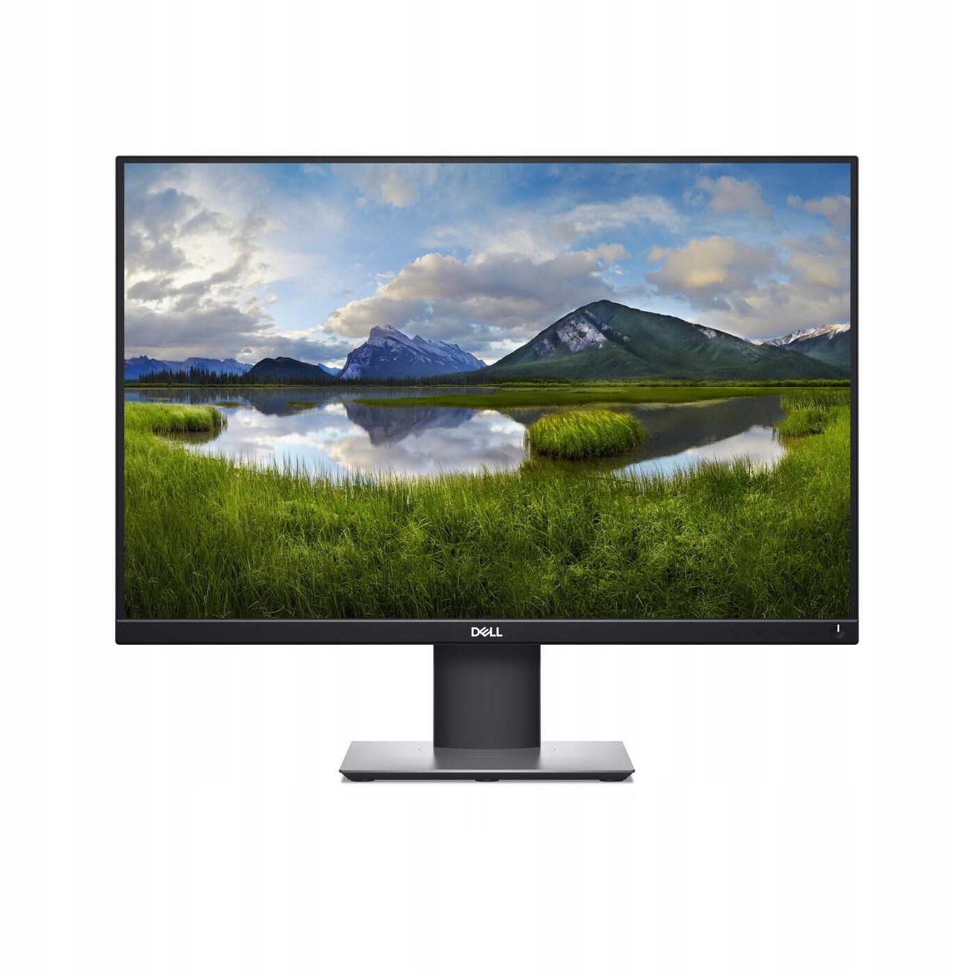 Dell Monitor P2421 61.2 cm (24.1