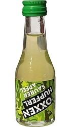 Saurer Apfel Likör 16% 20ml miniatura