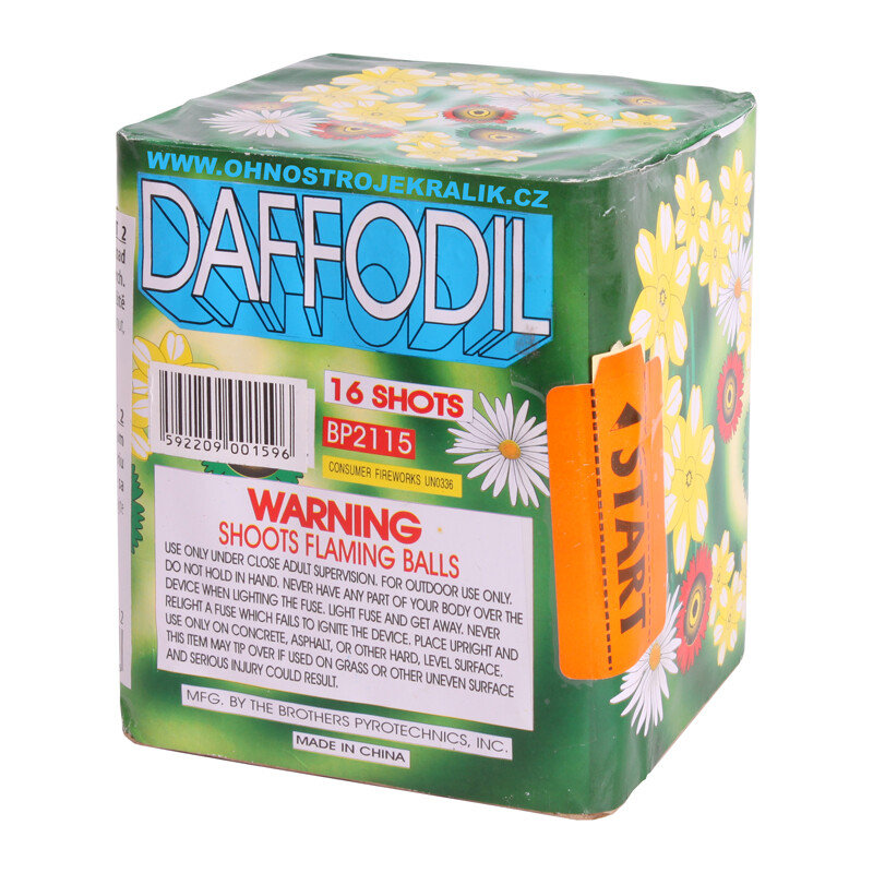 DAFFODIL 16 RAN