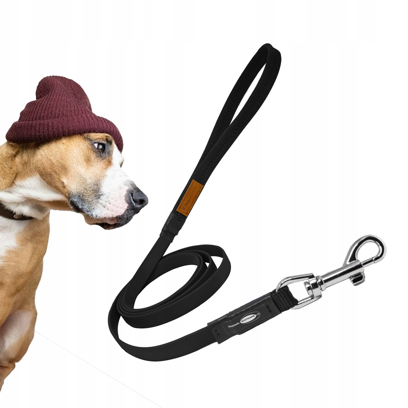 Originální Voděodolné vodítko pro velkého psa Biothane 2 m
