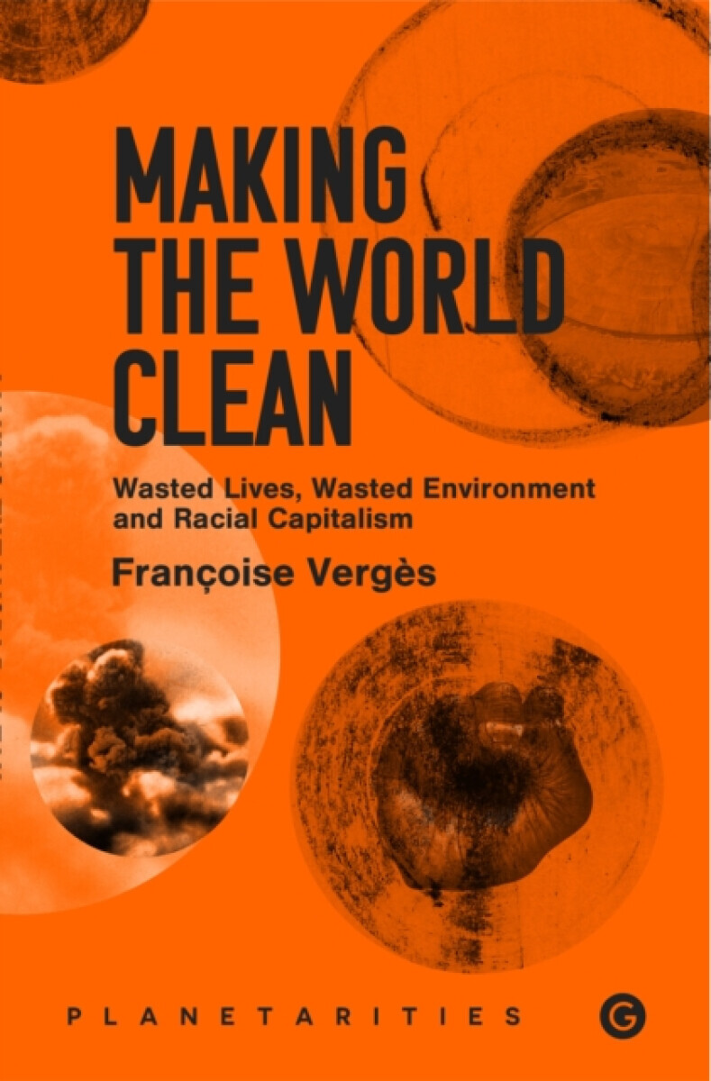 Making the World Clean - Françoise Verges