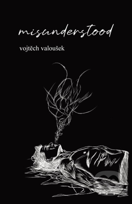 misunderstood - Vojtěch Valoušek