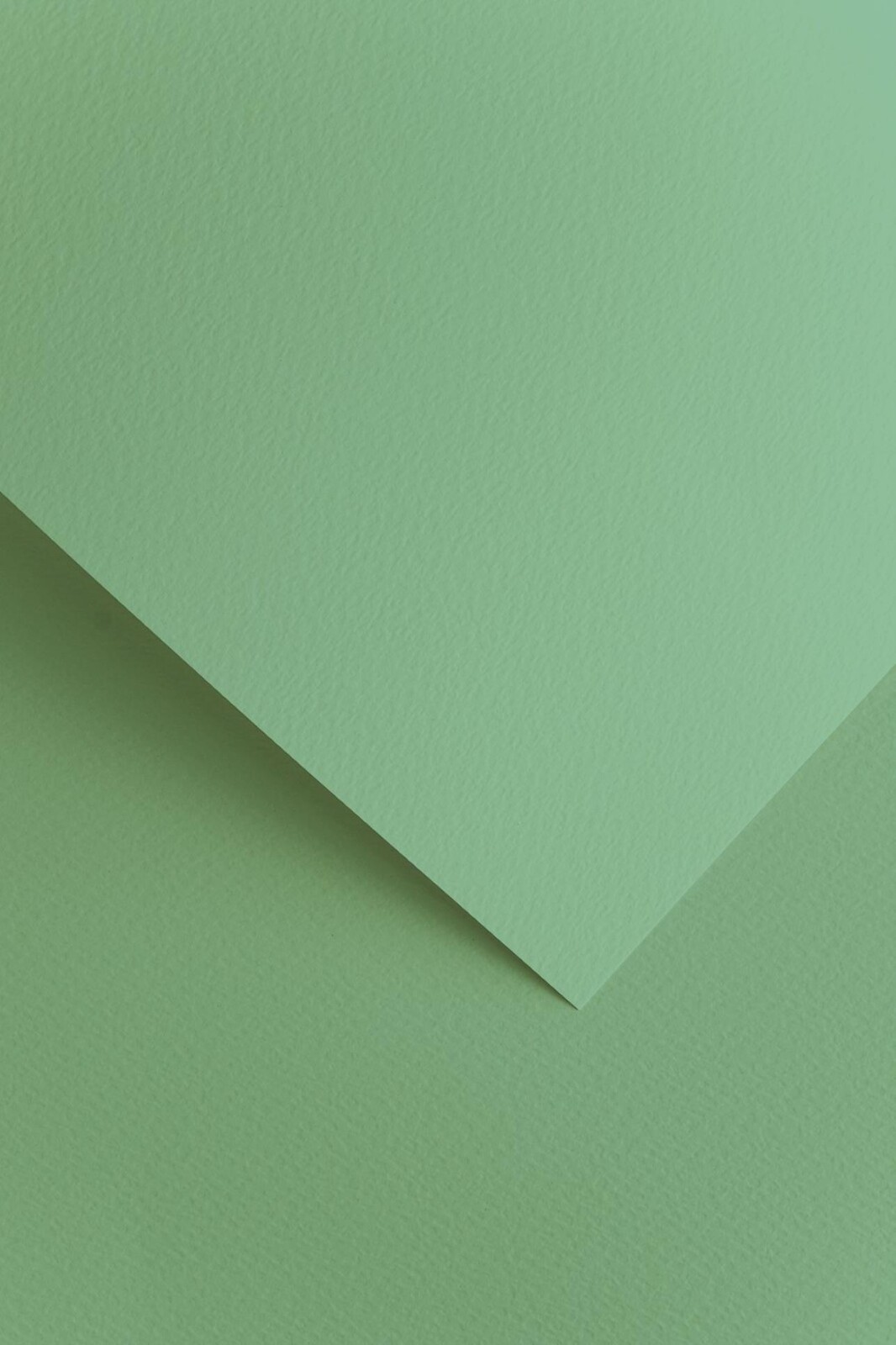 Galeria Papieru Designový papír A4 Sawanna - 220 g, šalvějový,20 ks