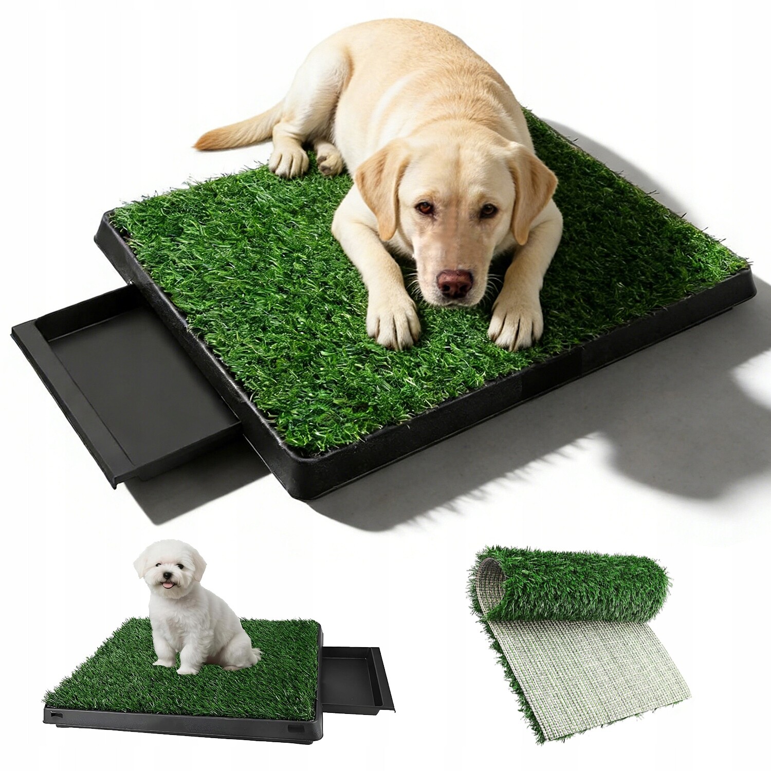 Psí Wc S Zesílenou Trávou A Vyjímatelnou Velkou Táckou