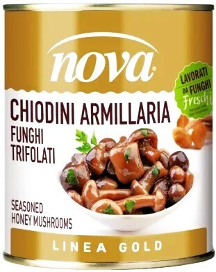 Medové Opěrky V Oleji 850ml Nova Funghi S.vel. L.