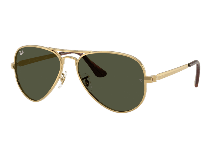 Ray-Ban Aviator Max RB3925 001/31