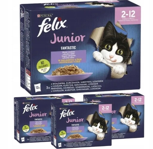 Purina Felix Junior krmivo pro koťata mix chutí 48x85 g