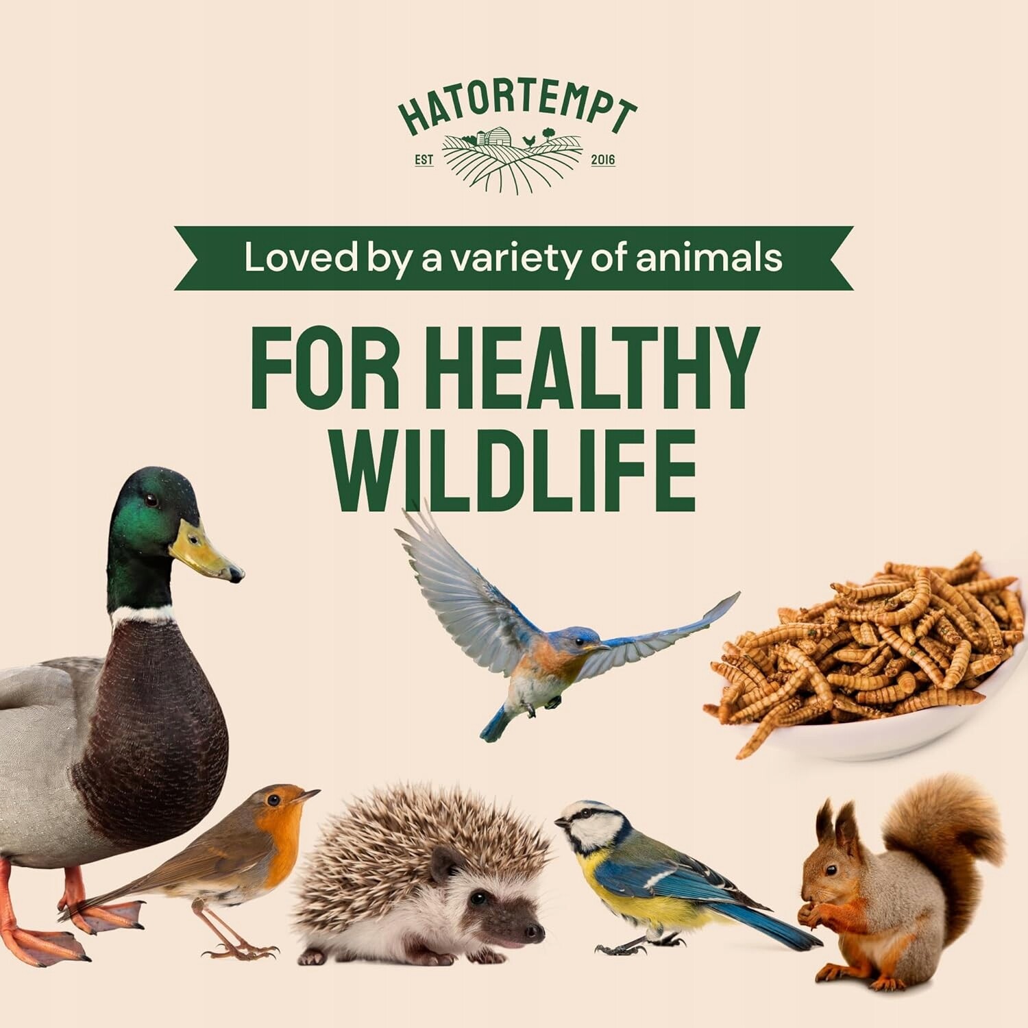 Sušené Larvy Moučníku 1,6 kg Krmivo pro ptáky a křečky Hlodavci Želvy Ryby