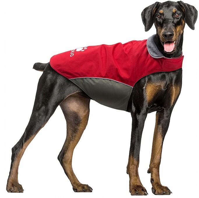 Zimní bunda Ireenuo Červená XL //co3