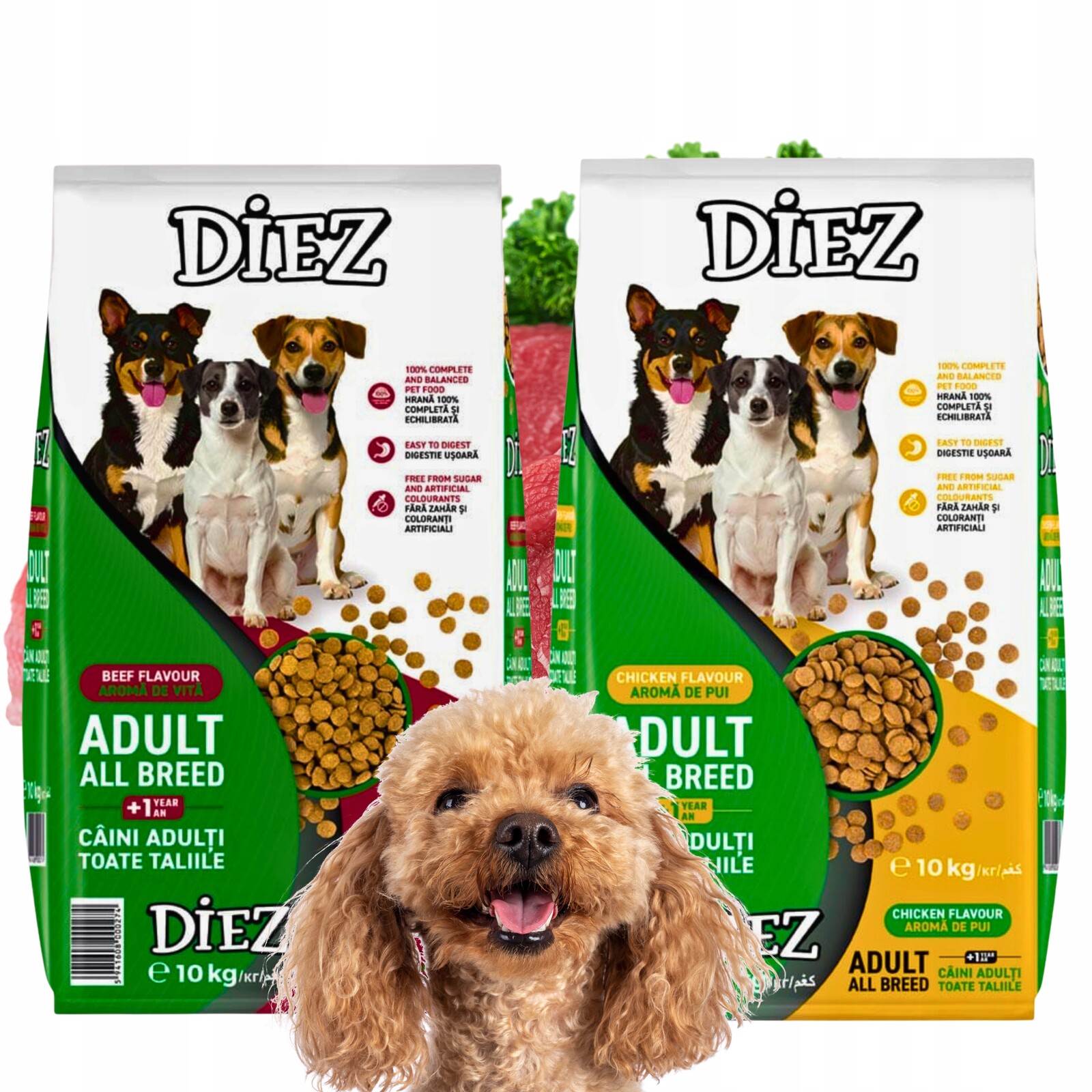 Suché Krmivo pro dospělého psa Kompletní kuřecí maso Diez x 2 10 kg