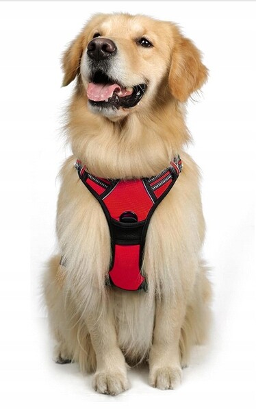 Sportovní beztlakové postroje Rabbitgoo velikost L, červené pro psa