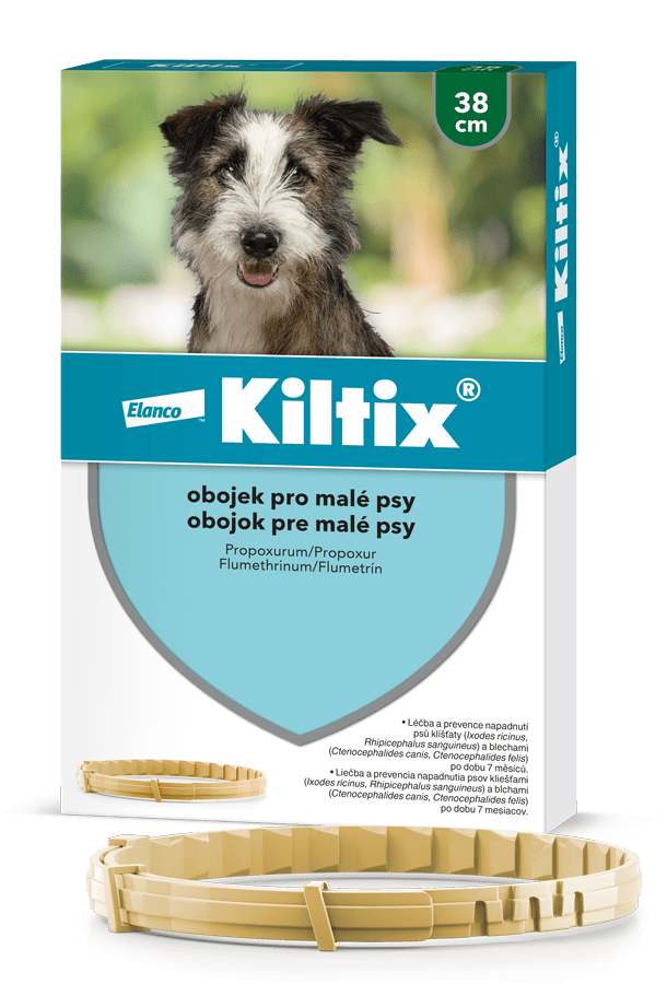 KILTIX Obojek pro malé psy 38 cm