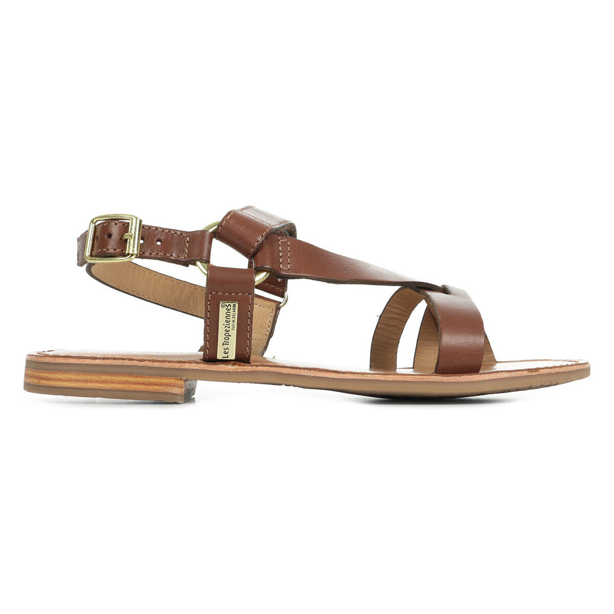 Les Trop?ziennes Par M. Belarbi  Harion  Hnědá