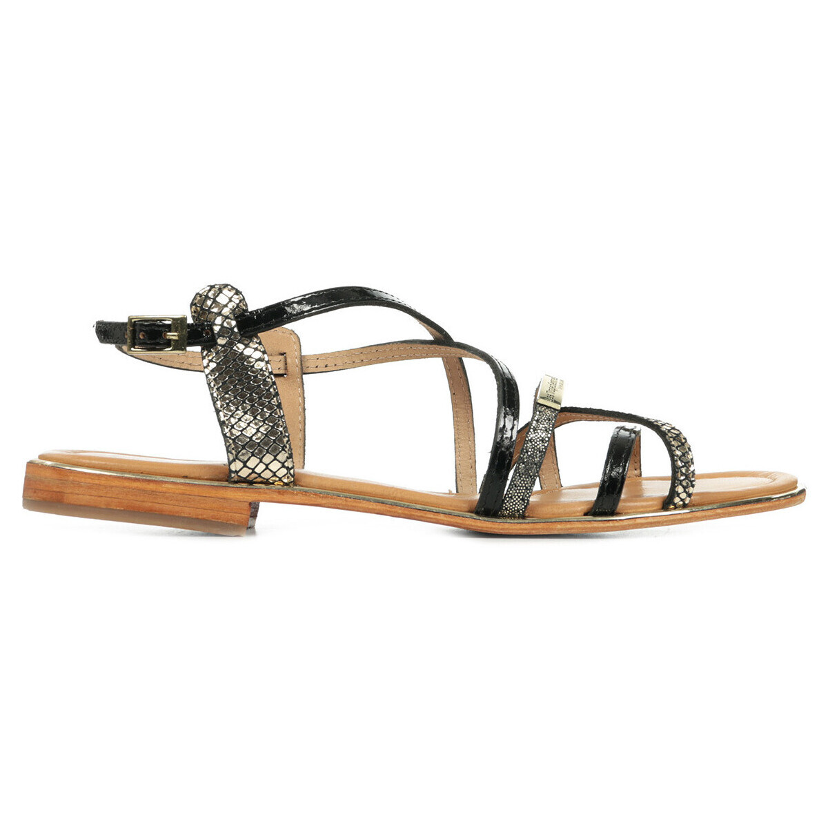 Les Trop?ziennes Par M. Belarbi  Harry  Černá