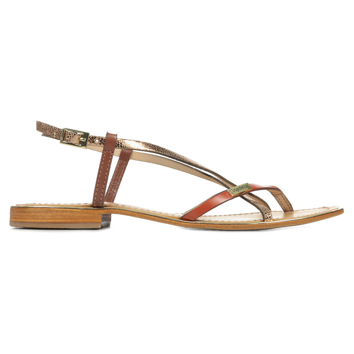 Les Trop?ziennes Par M. Belarbi  Monaco  Hnědá