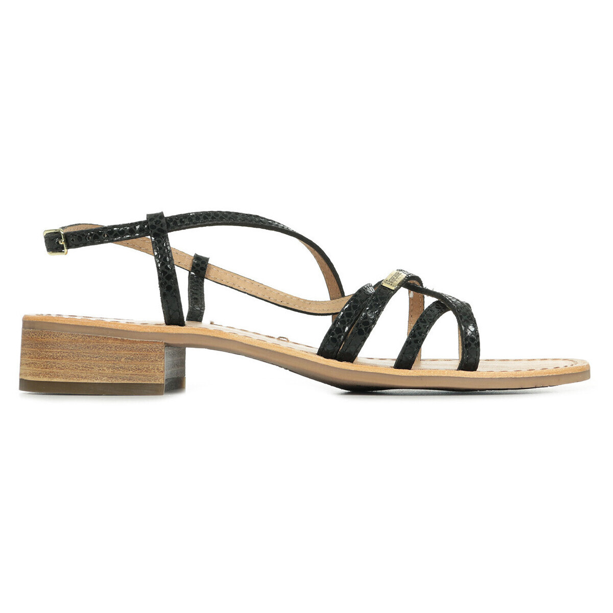 Les Trop?ziennes Par M. Belarbi  Harryna  Černá