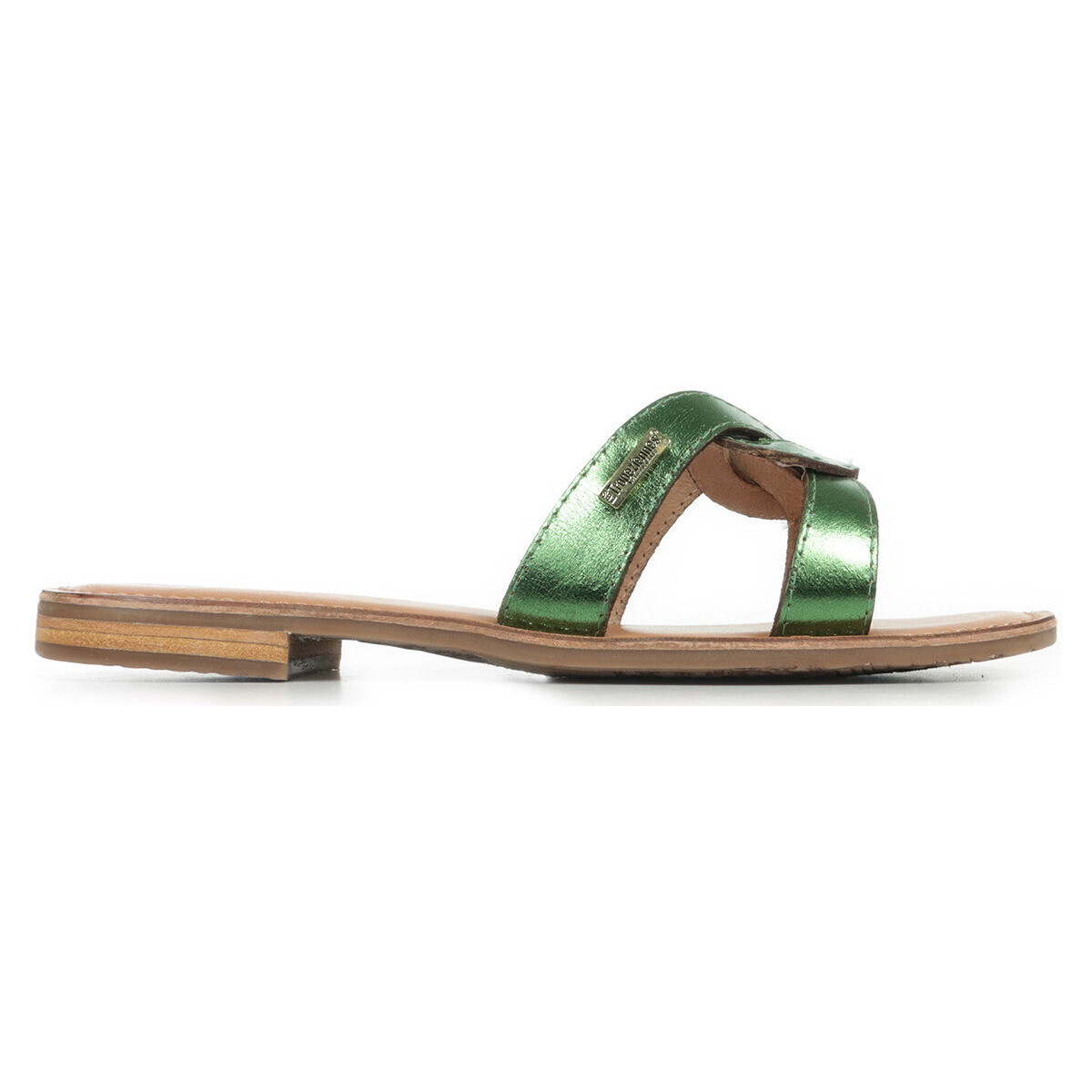 Les Trop?ziennes Par M. Belarbi  Hanita  Zelená