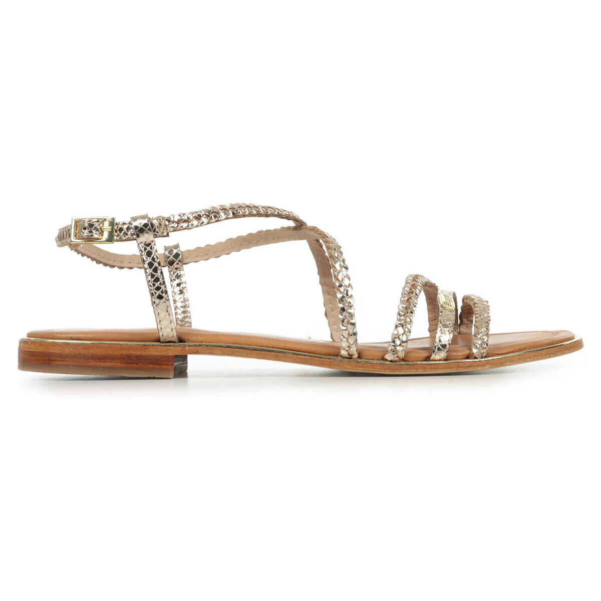 Les Trop?ziennes Par M. Belarbi  Homage  Zlatá