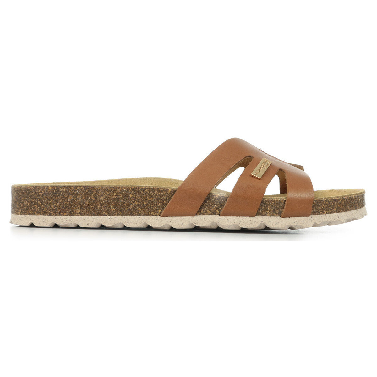 Les Trop?ziennes Par M. Belarbi  Zamita  Hnědá