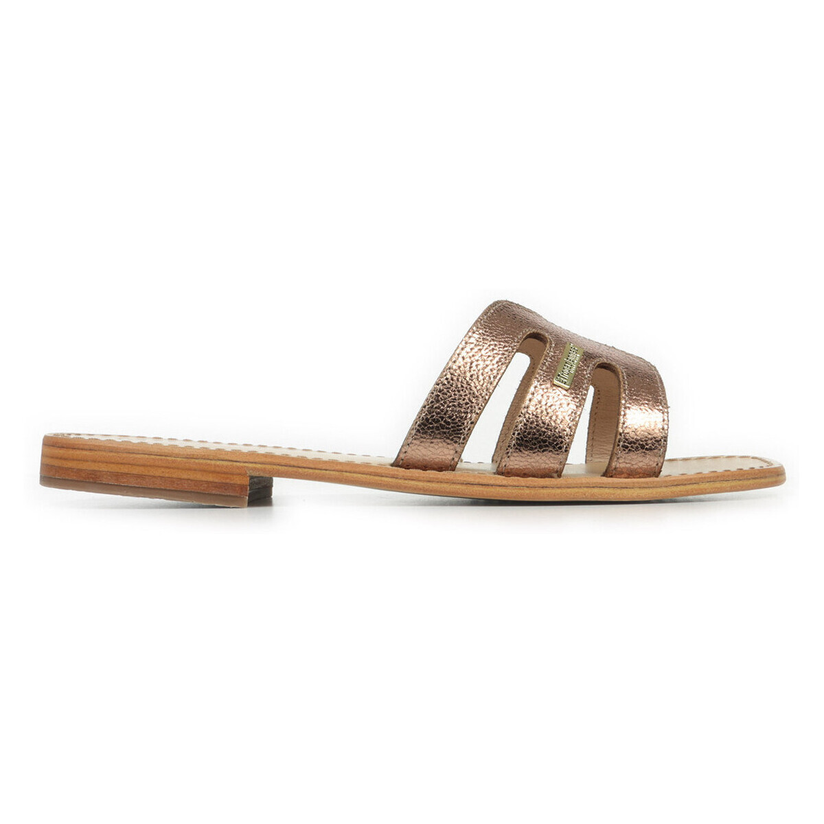 Les Trop?ziennes Par M. Belarbi  Hadamia  Růžová