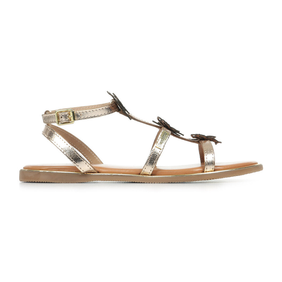 Les Trop?ziennes Par M. Belarbi  Butterfly  Zlatá