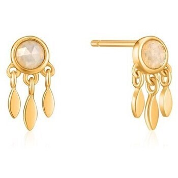 Ania Haie  e02606g  Zlatá