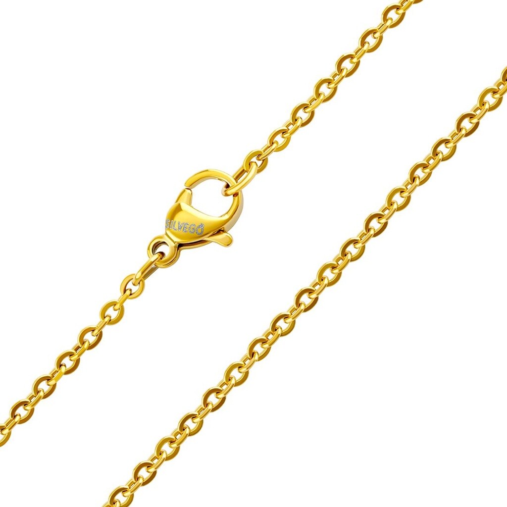 Silvego Pozlacený řetízek Anker Roma z chirurgické oceli 2 mm KMM24329 40 cm