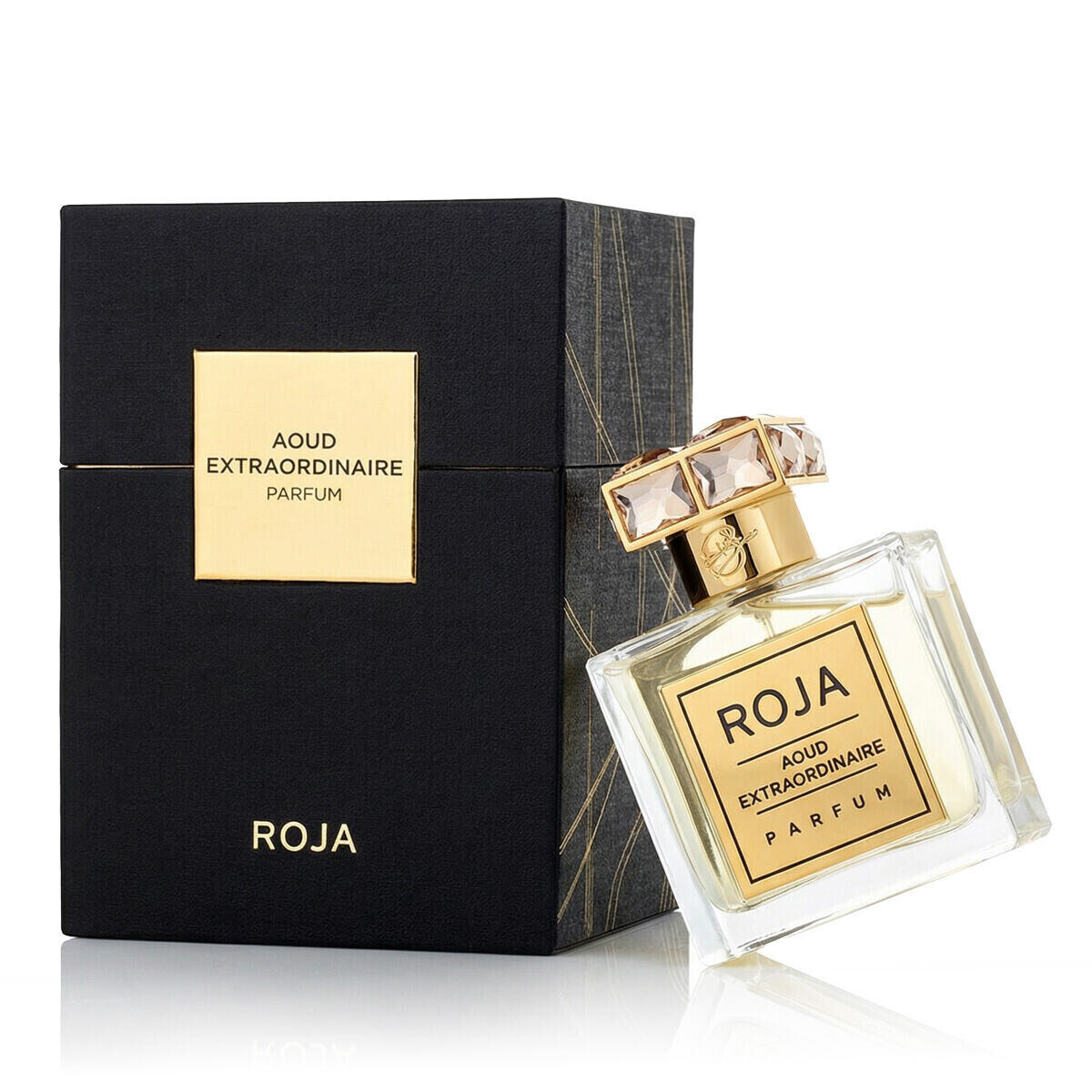 Roja Parfums Aoud Extraordinaire 100 ml parfém unisex
