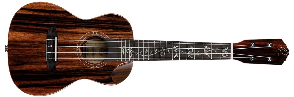 Ortega RUET-EB (použité)