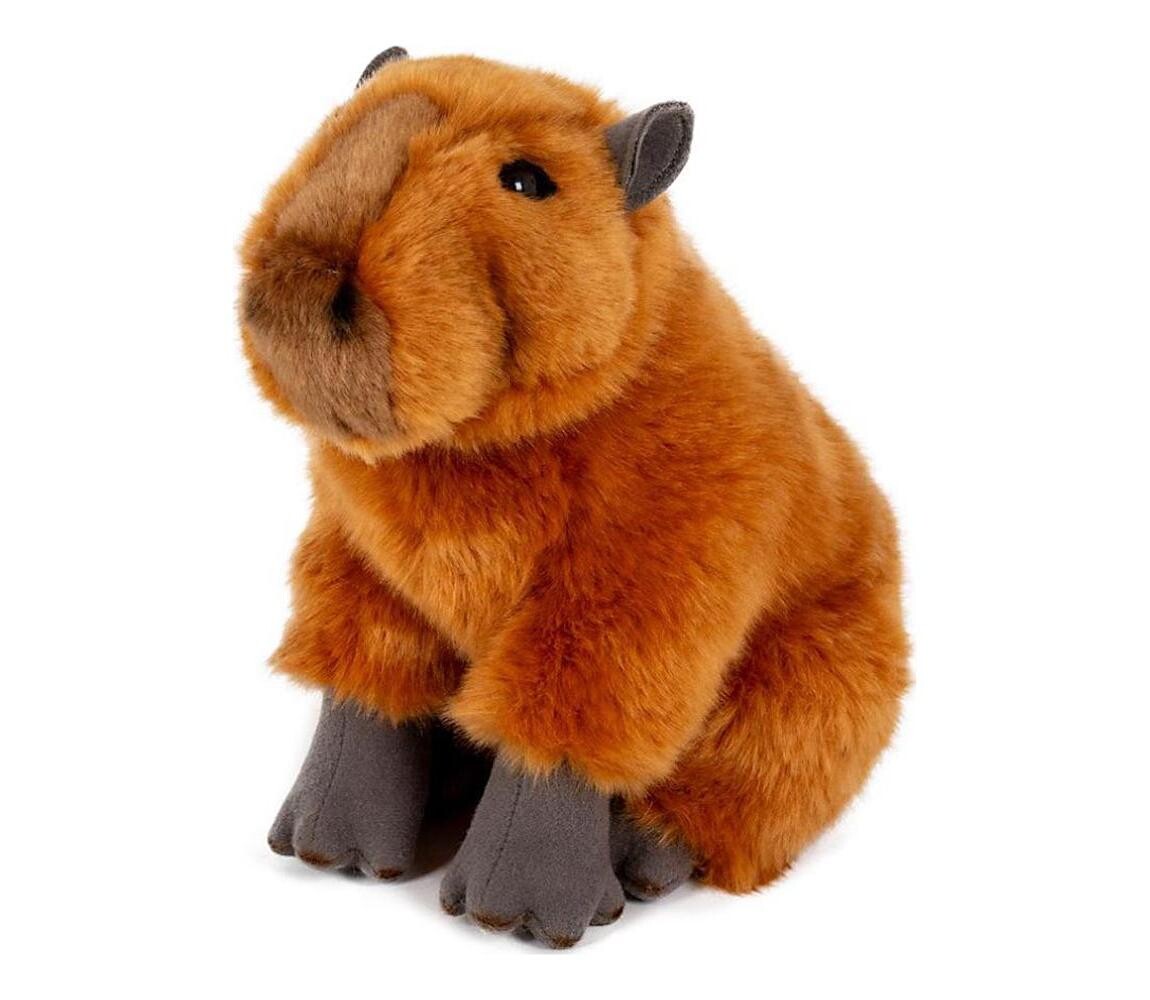Teddies Plyšová kapybara 25 cm 00010157