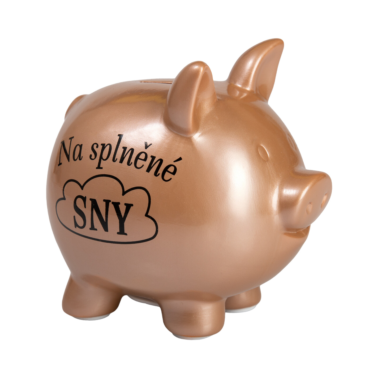 Pokladnička - Na společnou cestu Albi