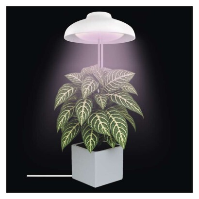 EMOS Z7901 LED GROW pěstební lampa 5 W, časovač, bílá
