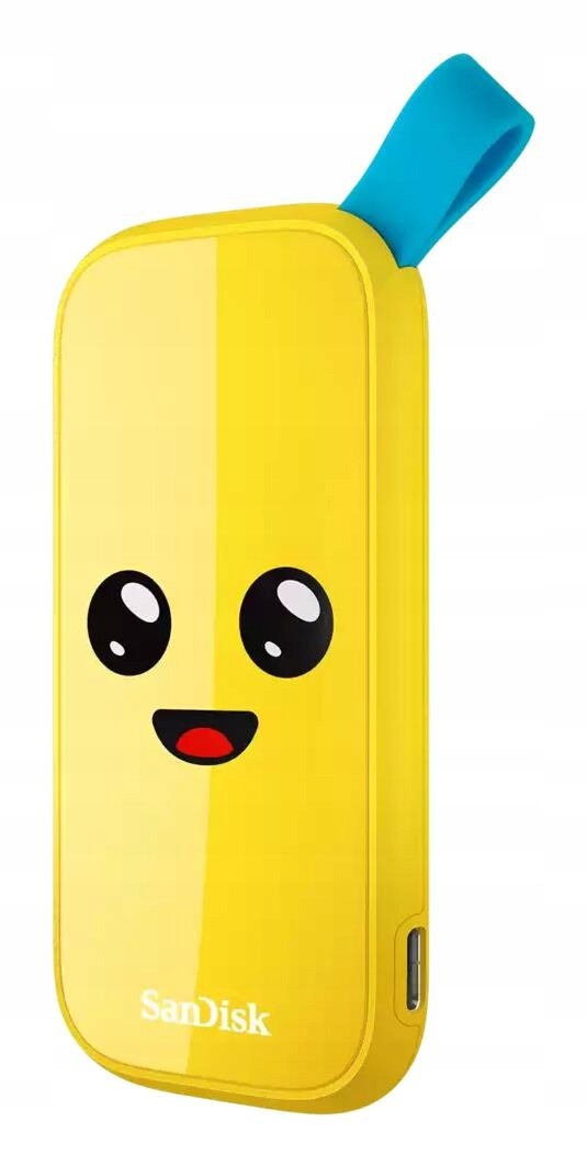 Externí Ssd disk|SANDISK|1 Tb|usb 3.2|Rychlost čtení 800 MB/s|SDSSDE30-1T00-G2