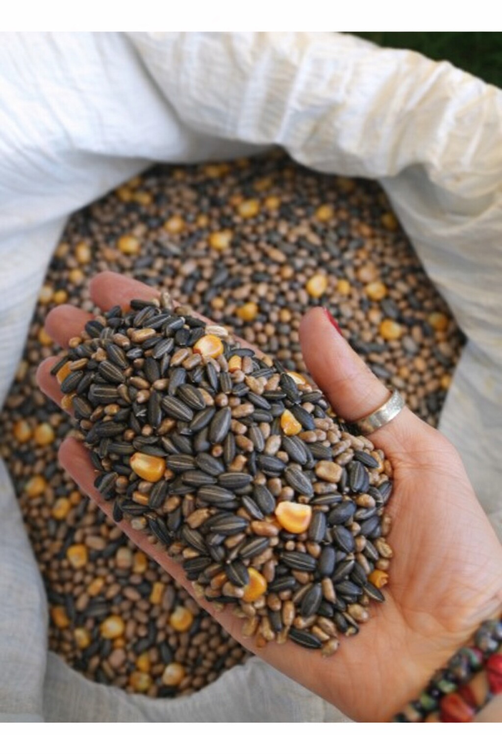 Slunečnice Krmná Pro Ptáky zimní mix 20 kg