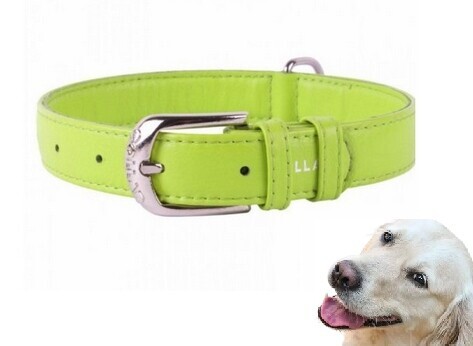 Obojek Pro Psa Z Kůže Waudog Collar 15 MM 27-36 CM Zelený