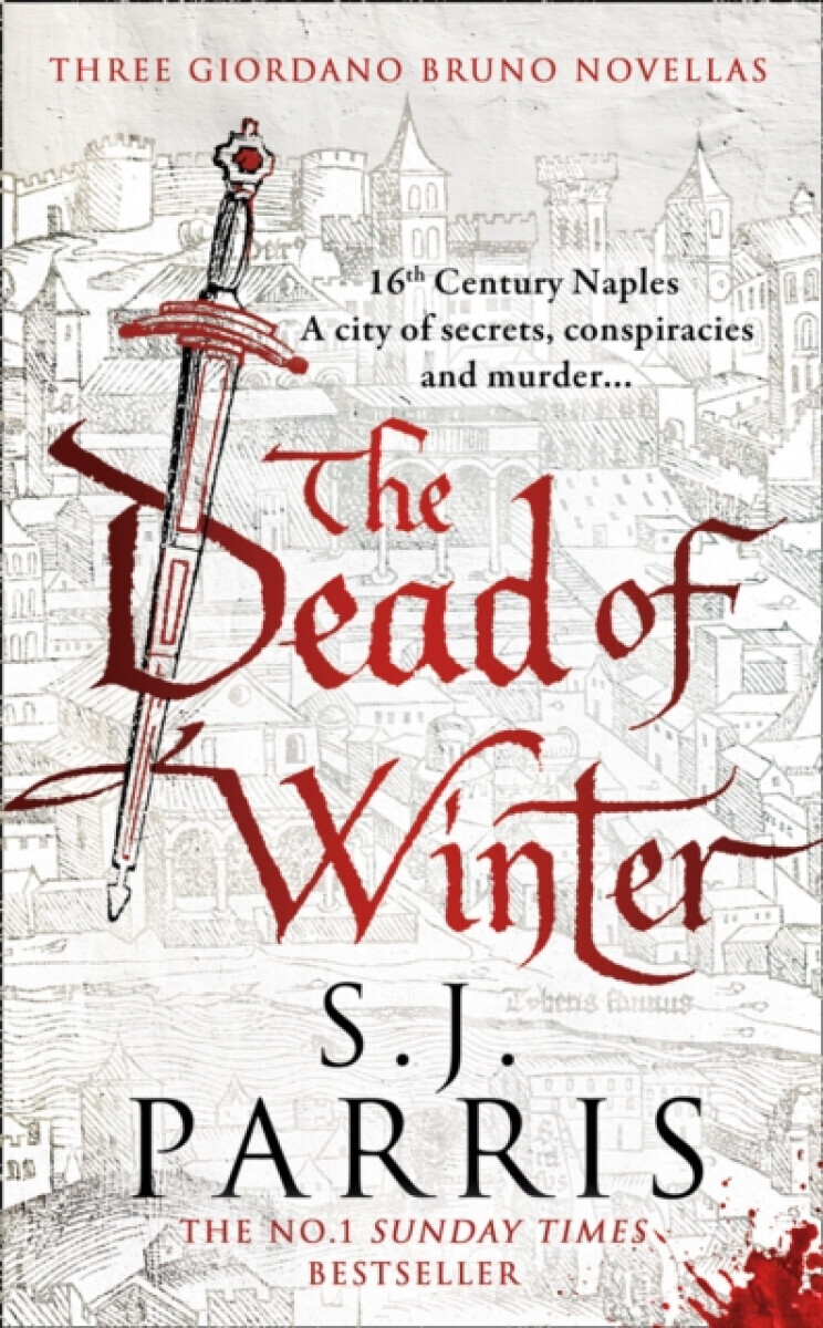 The Dead of Winter - S. J. Parrisová