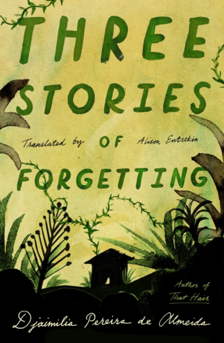 Three Stories of Forgetting - Djaimilia Pereira de Almeida