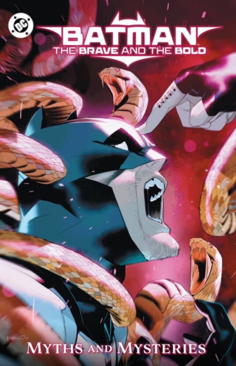 Batman: The Brave and the Bold: Myths and Mysteries - Rob Levin, Zipporah Smith