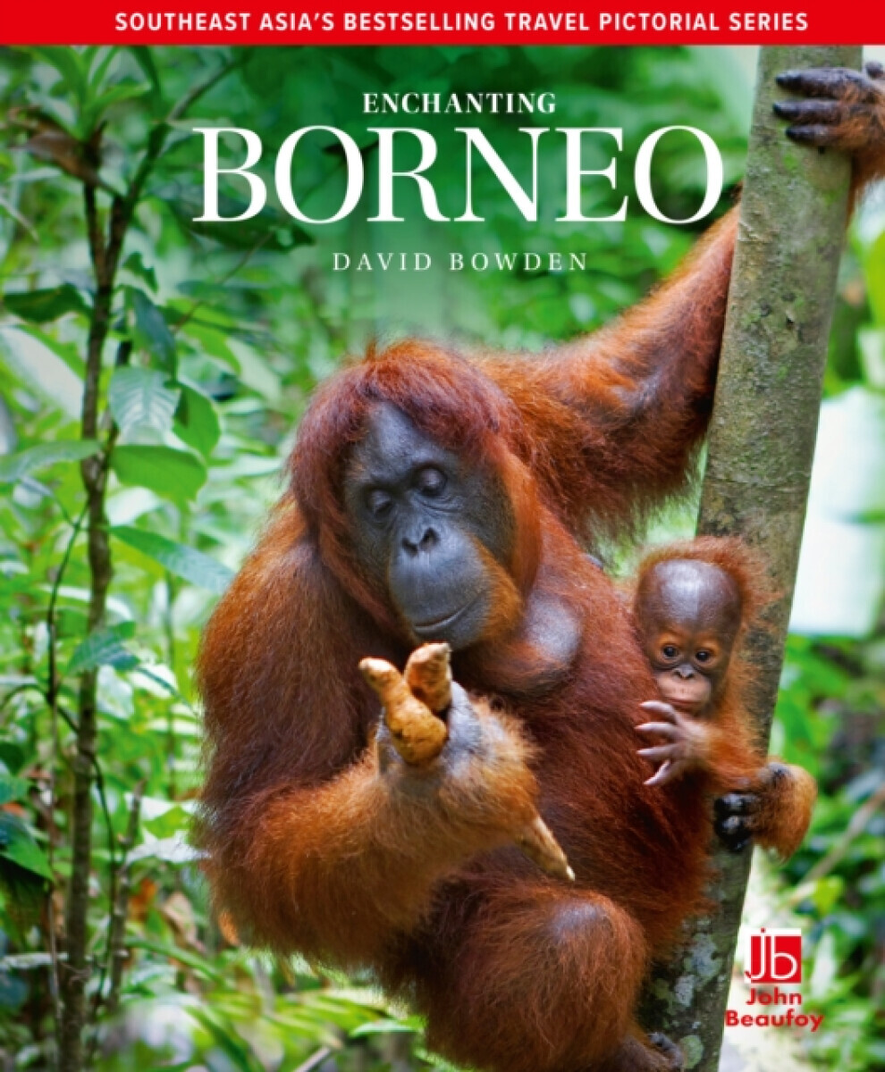 Enchanting Borneo - David Bowden
